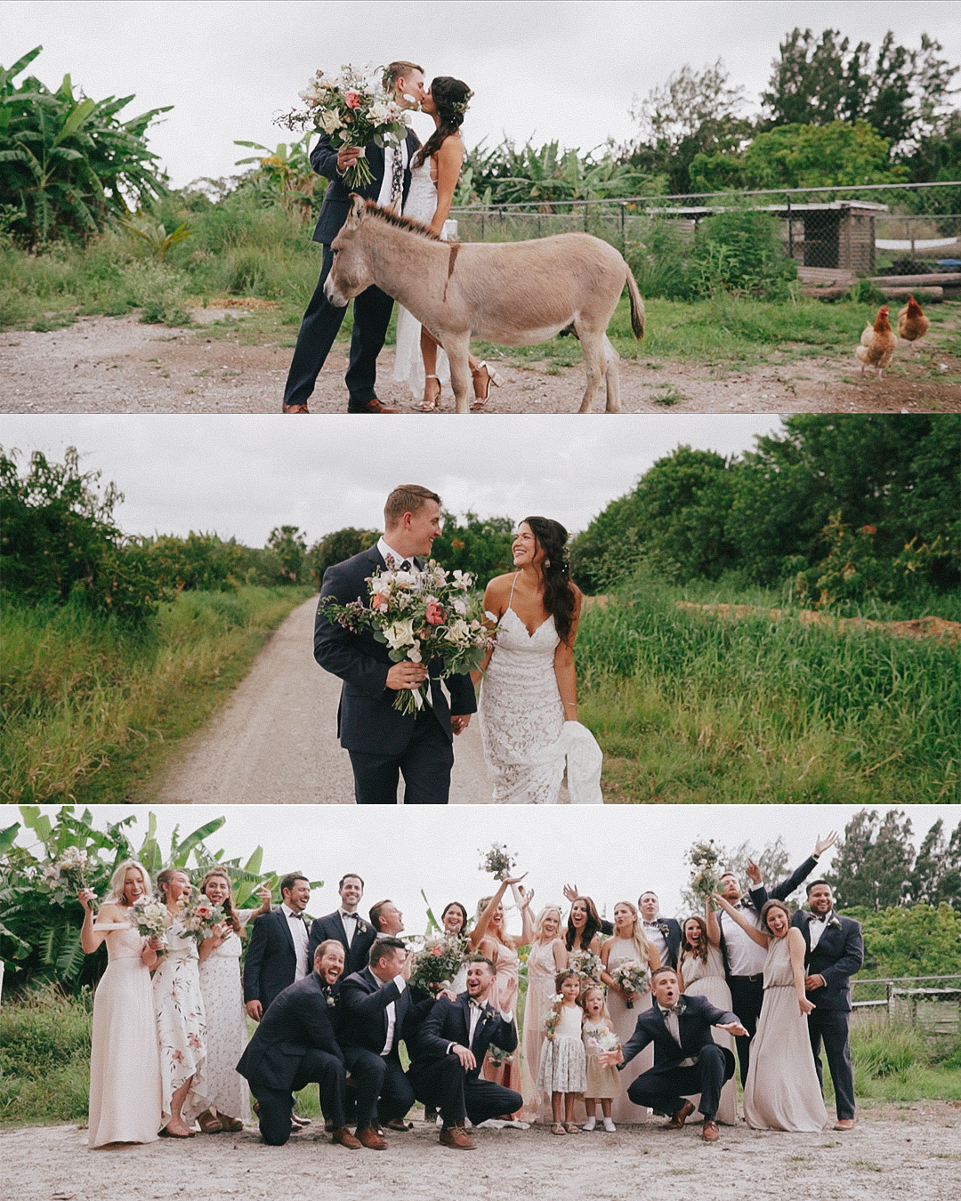 Elyssa and Jeff farm wedding in Florida - image 3